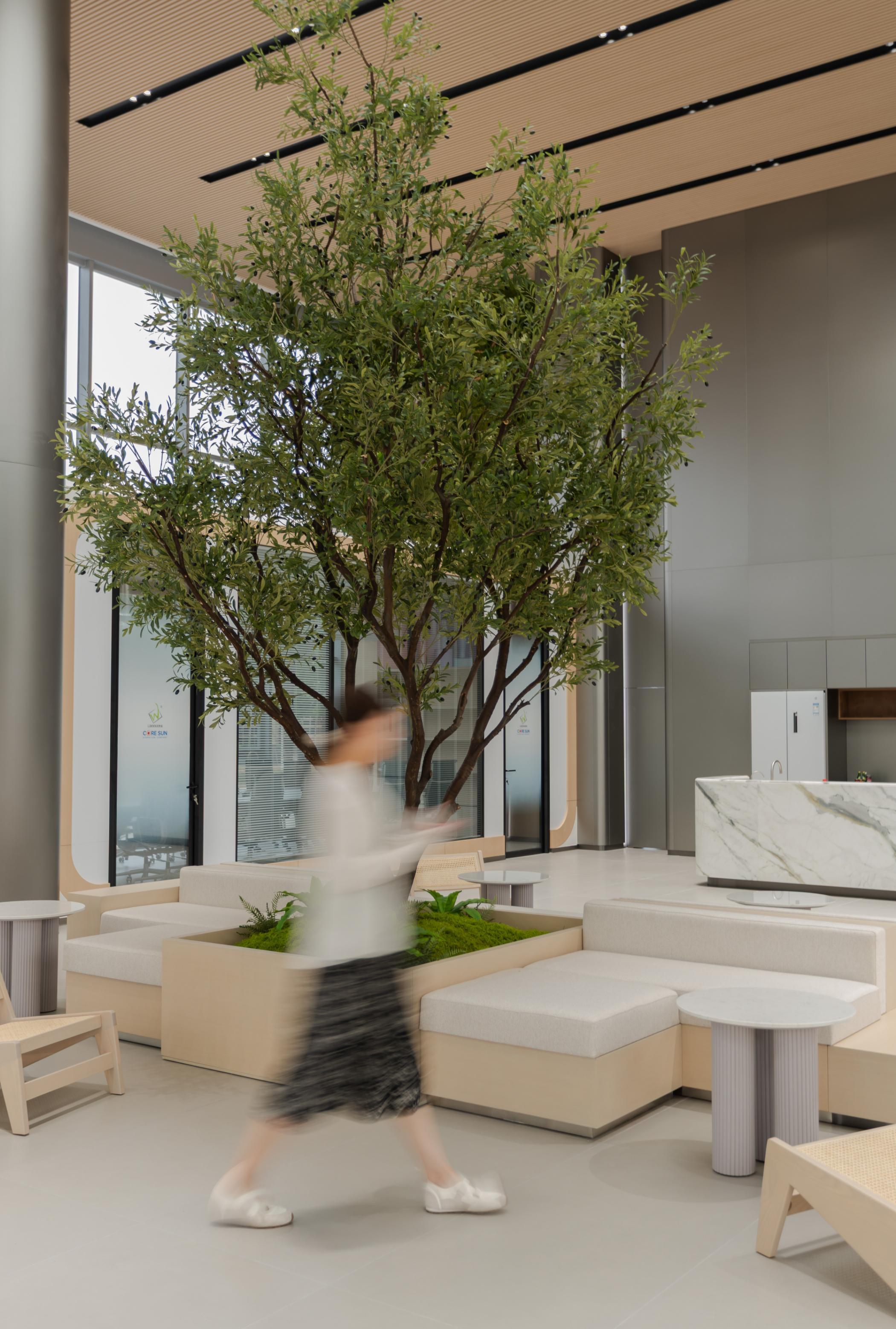 Guangdong Musen Daily Necessities Co., Ltd