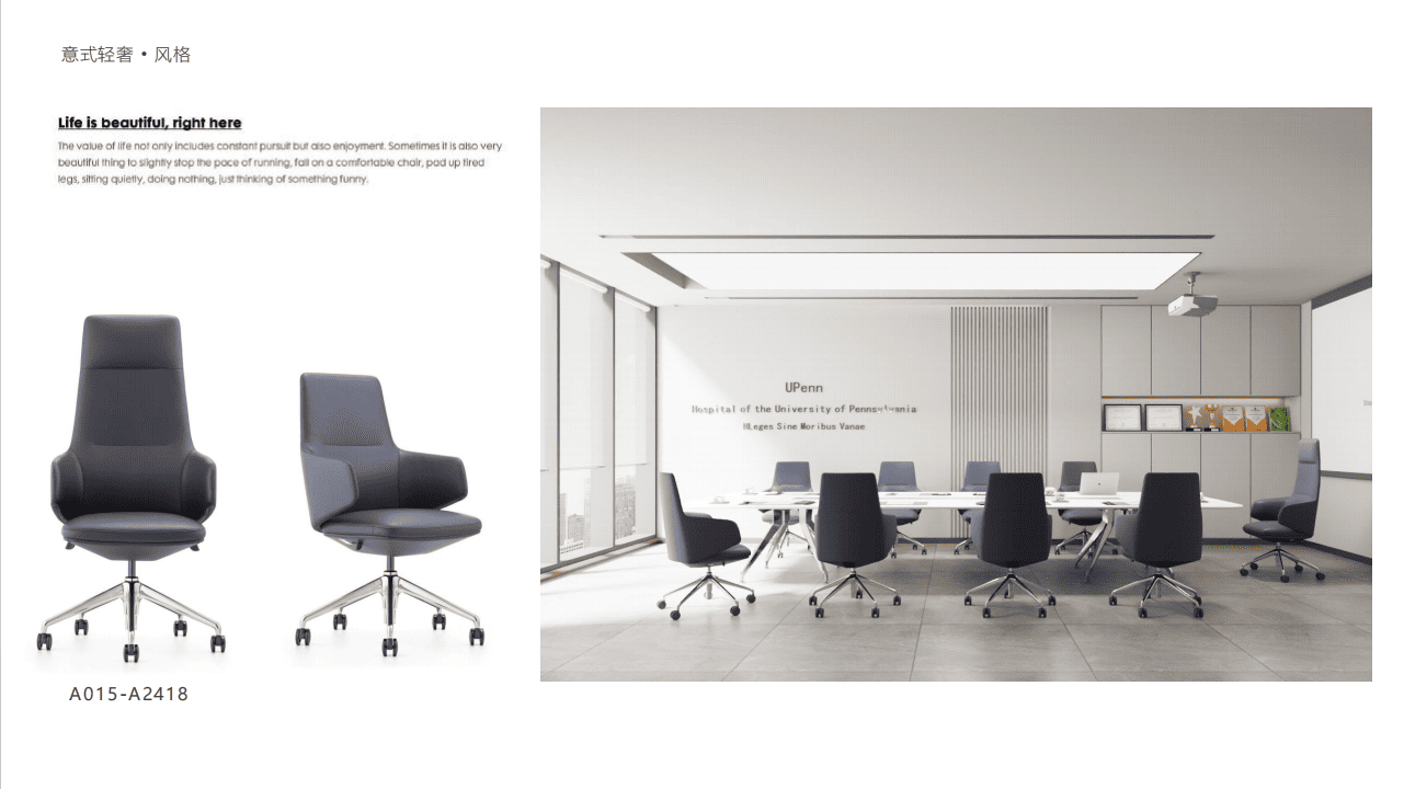 Leather Chair Series