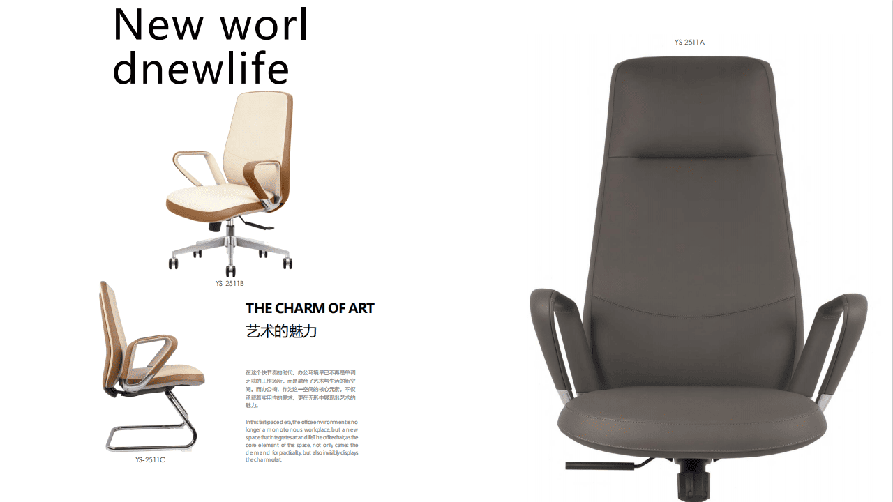 Leather Chair Series