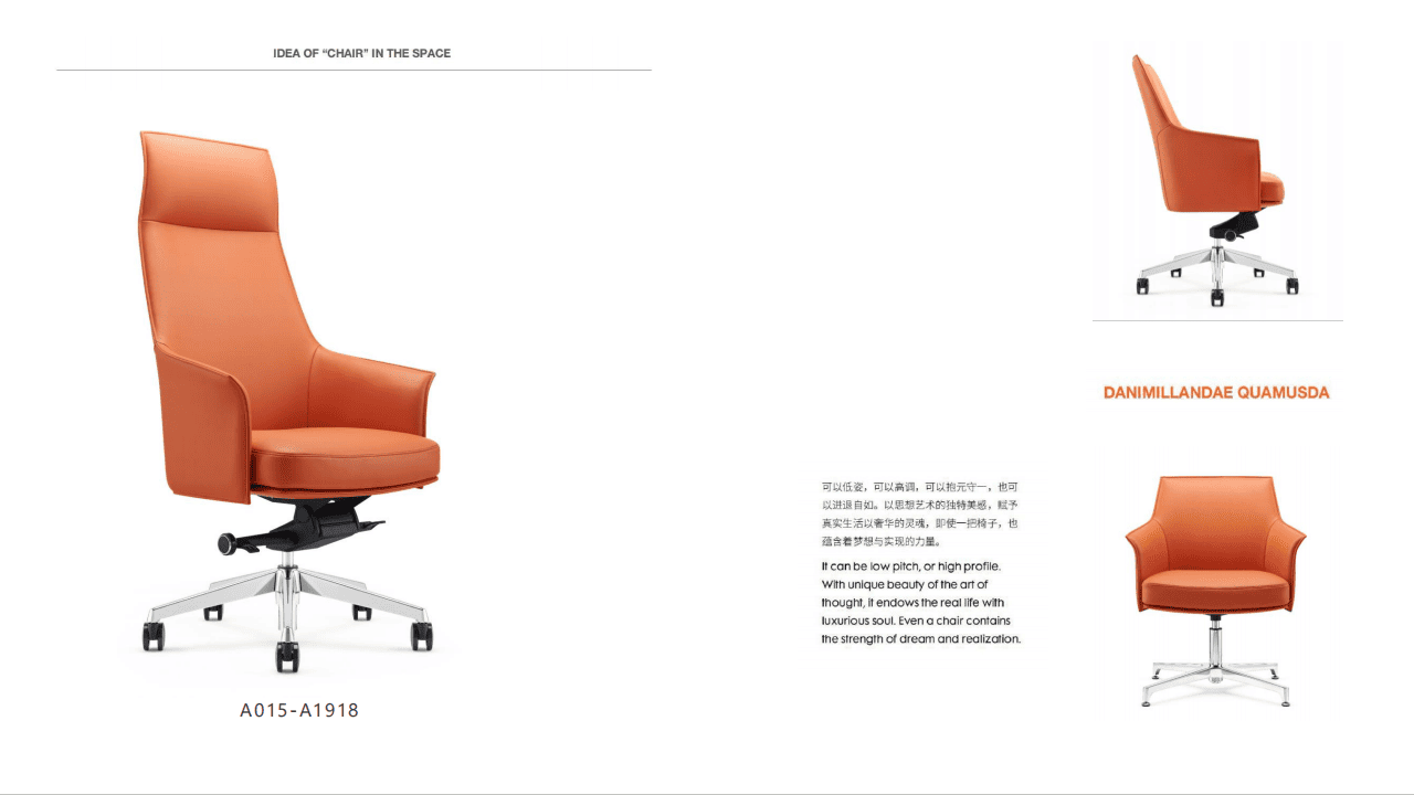 Leather Chair Series